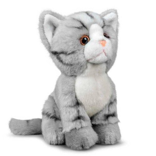 Tabby cat world nature - tabby,