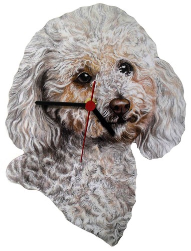 White poodle clock - poodle,
