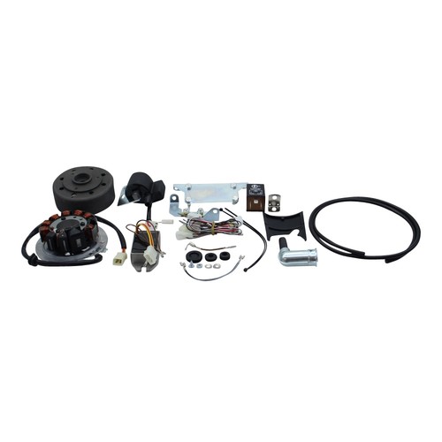 Ignition electronic 12v 100w - electronic,
