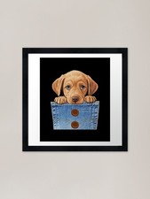 Labrador Retriever Dog in