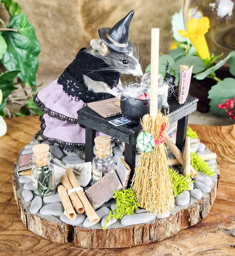 Witch mouse alter table - mouse,