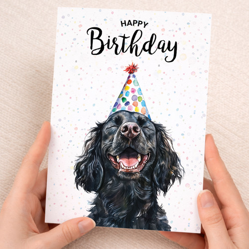 Cocker spaniel dog birthday - cocker,