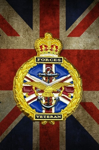 Forces lapel pin - forces, (c53)
