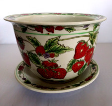 Kewdos Lintern Strawberry Planter Flowers Pot with Stand