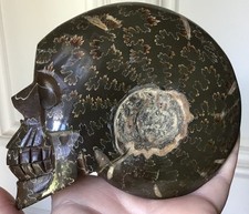 Stunning Large Natural