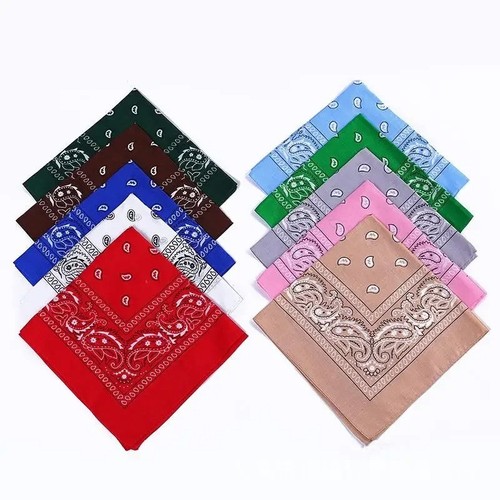 Bandana paisley neck head - neck,