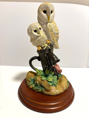 Border fine arts barn owl - border, &