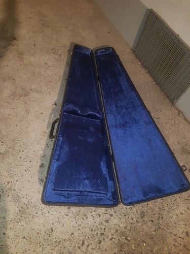 Hofner bass case - bass,