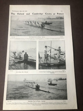 1905 bystander print - the