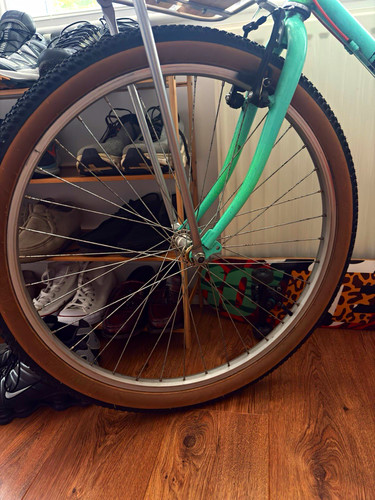 90s raleigh lizard mountain - 90s,