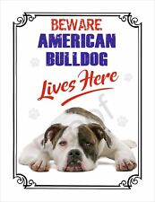 BEWARE AMERICAN BULLDOG LIVES HERE  #SD5 SIGN 8 X 6" DOG METAL WARNING 