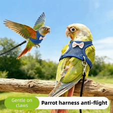 Adjustable Parrot Flying