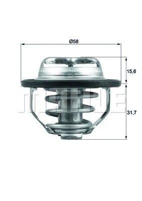 Thermostat coolant fits - coolant,