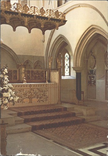 Portsmouth cathedral tree - cathedral, "tree