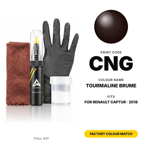 Touch paint for renault - touch,