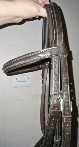 New elevator flash - new,
