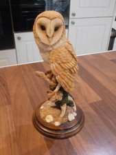 Country Artists Barn Owl