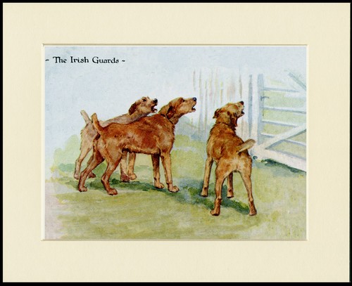 Irish terrier dog art print - terrier,