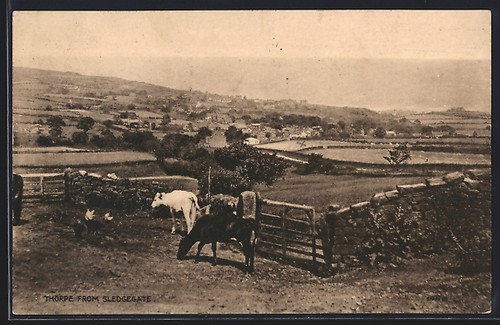 Postcard thorpe view from - view,