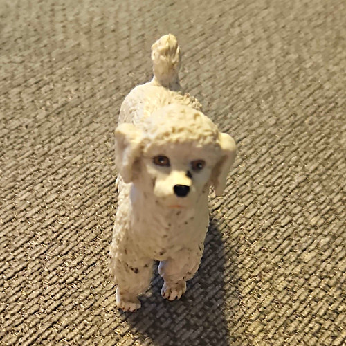 Poodle dog ornament - aa, /