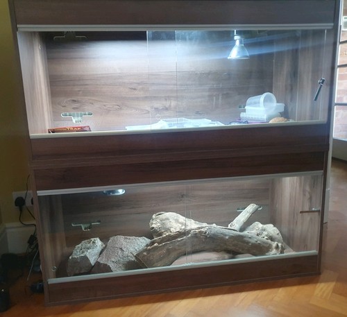Vivarium reptile long - ft,