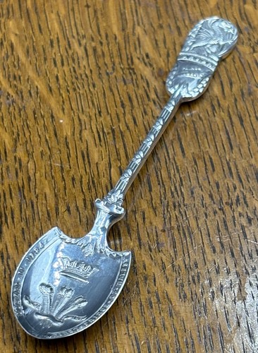 Commemorative silver spoon