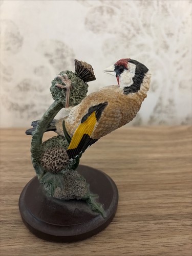 Country birds collection - birds,