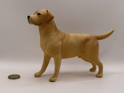 Beswick labrador solomon of - ‘solomon,