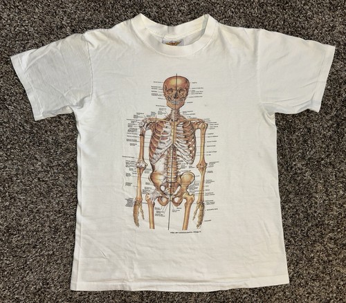 Vintage 1987 anatomical chart - vintage,
