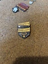 Alton Towers Oblivion pin