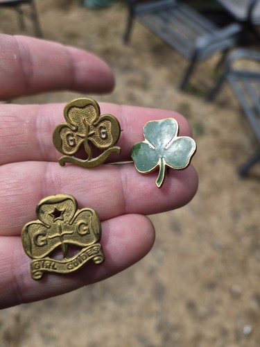 Job lot girl guide - lot,