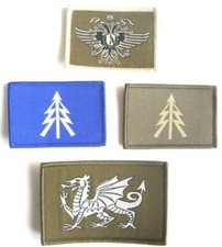 QDG QUEENS DRAGOON GUARDS TRF DZ HELMET MTP KIT BADGE BRITISH ARMY WELSH CAVALRY