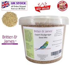 High-Quality 1.8kg Budgerigar