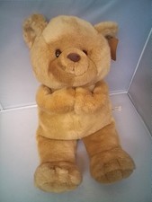 Anna Club Plush Teddy Bear