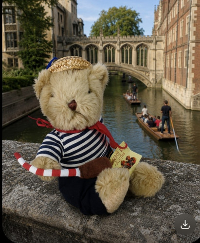 Gondolier bear the - bear, teddy