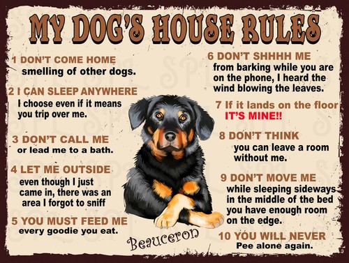 Dog house rules beauceron - house,