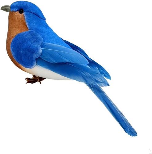 Blue birds realistic - blue,