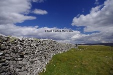 Yorkshire dales dry stone - dales,