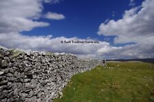 Yorkshire Dales Dry Stone Wall
