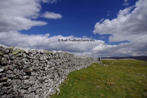 Yorkshire dales dry stone wall - yorkshire,