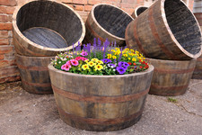 Half oak whiskey barrel - half,