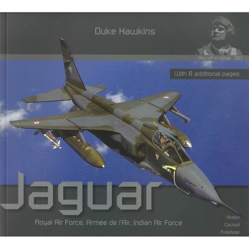Aircraft detail 001 jaguar - in,