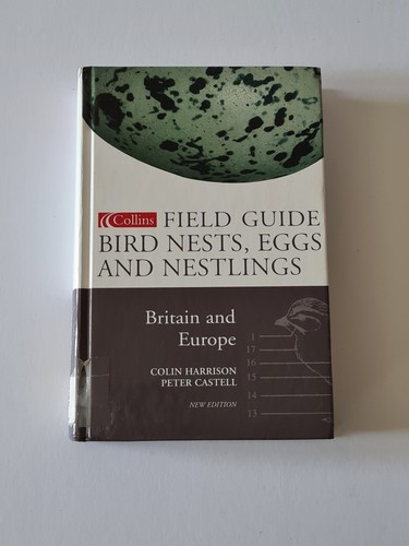 Bird nests eggs and - nests,,