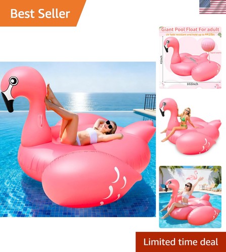 102 giant flamingo - flamingo, pool