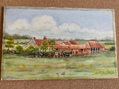 Cows farm yard field - in,
