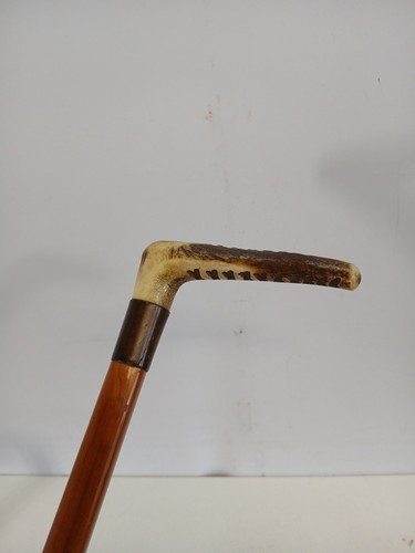 Vintage staghorn riding - staghorn, crop
