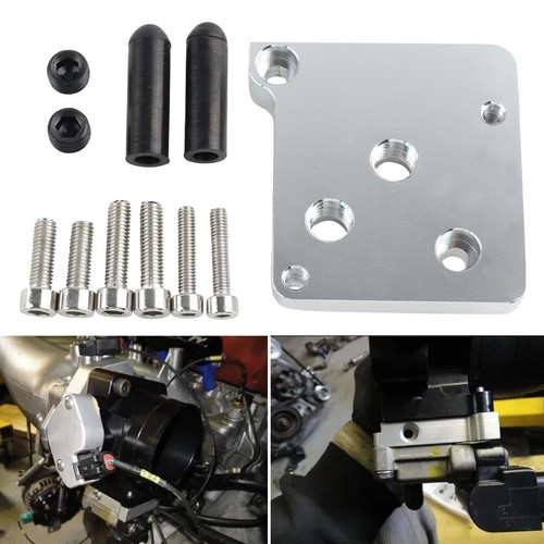 Brand new iacv rotation - new, plate