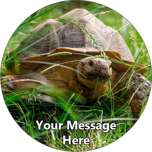 Tortoise personalised cake - personalised,