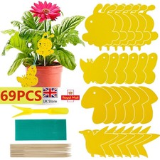 Flying Flie Traps Bugs Sticky