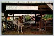 Pigeon Forge Pottery Postcard